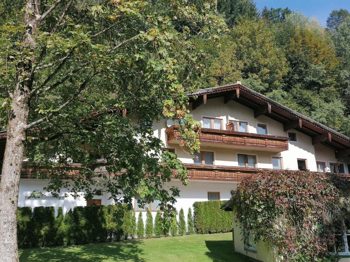 Pension Heilbad Burgwies Stuhlfelden Exterior photo